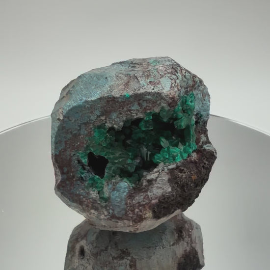 Dioptase Cave Nodule from Congo, Emerald Crystal Geode with Blue Chrysocolla Skin, Rare Collector Sp