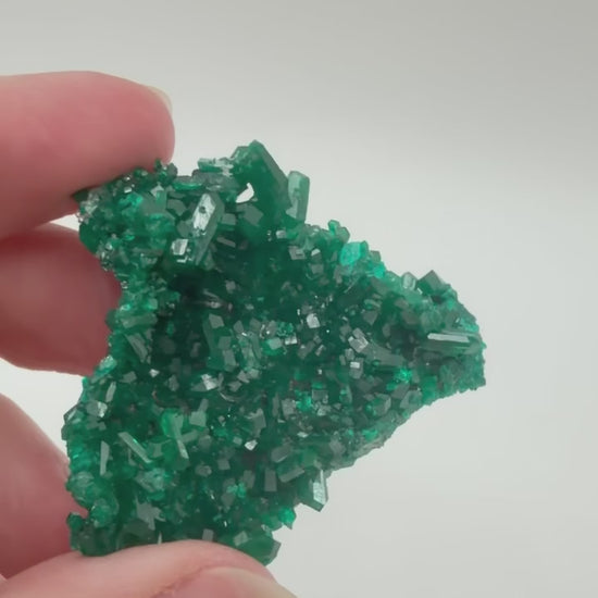 Dioptase crystal cluster video showing emerald green crystal coverage