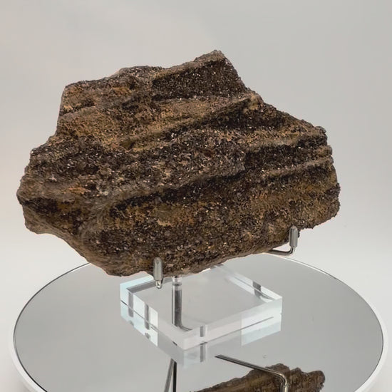 Druzy petrified wood slab, turning