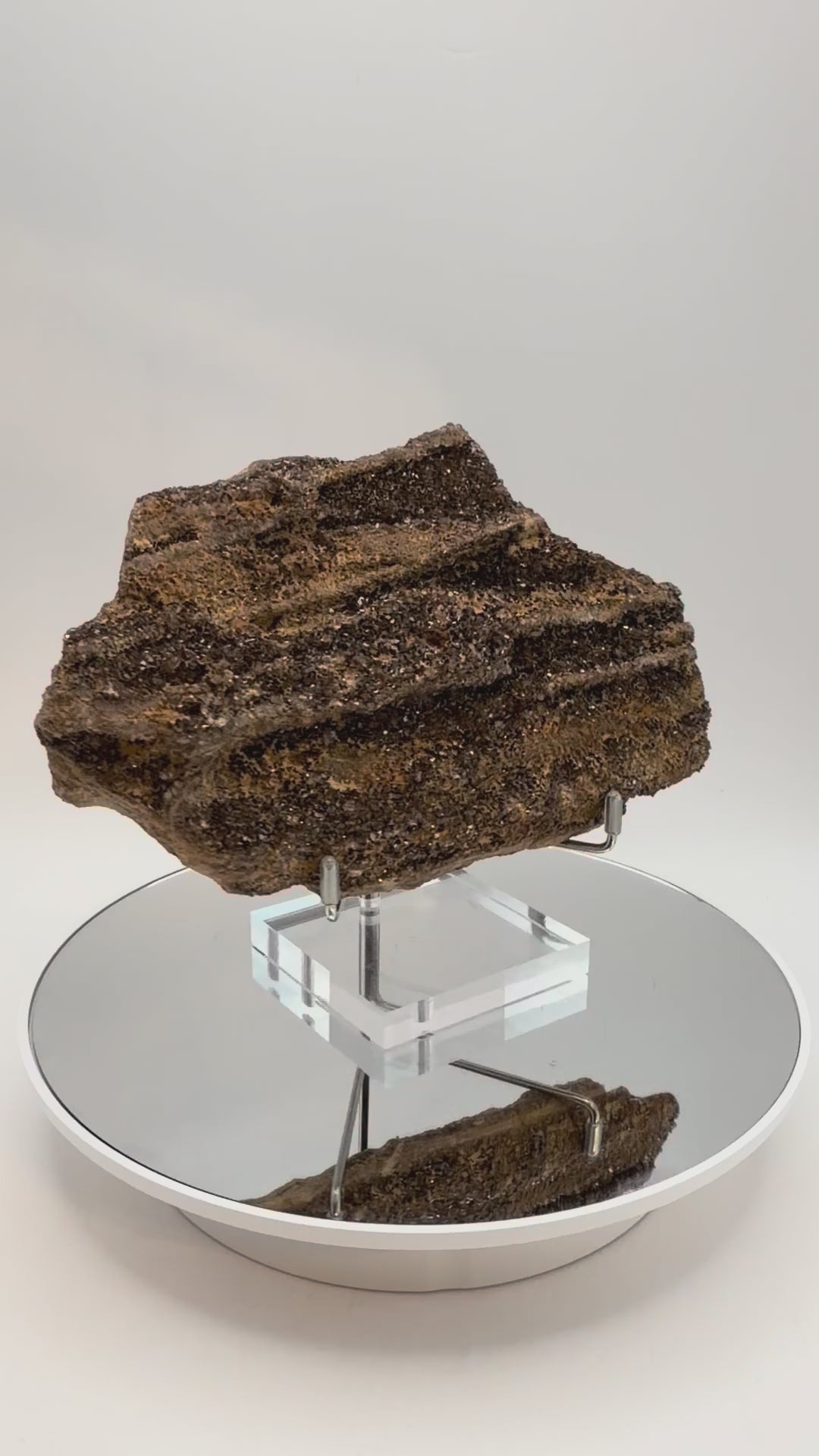 Druzy petrified wood slab, turning