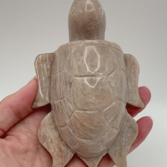 Peach moonstone turtle carving video