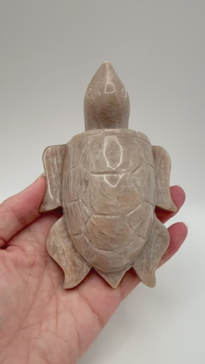Peach moonstone turtle carving video