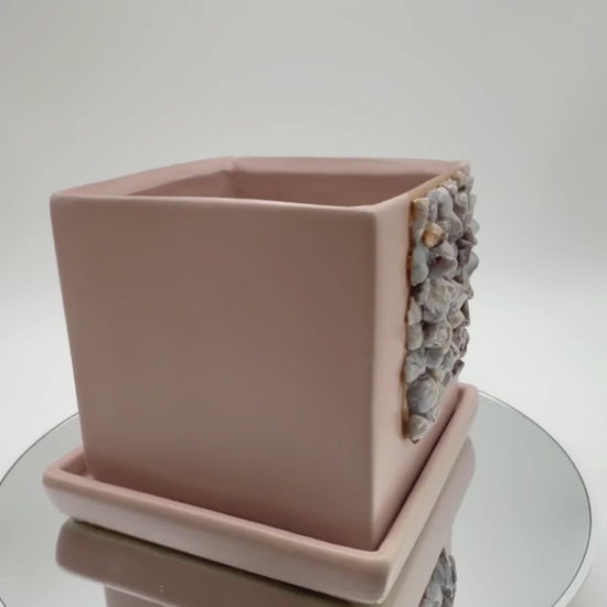 Crazy lace agate crystal planter video