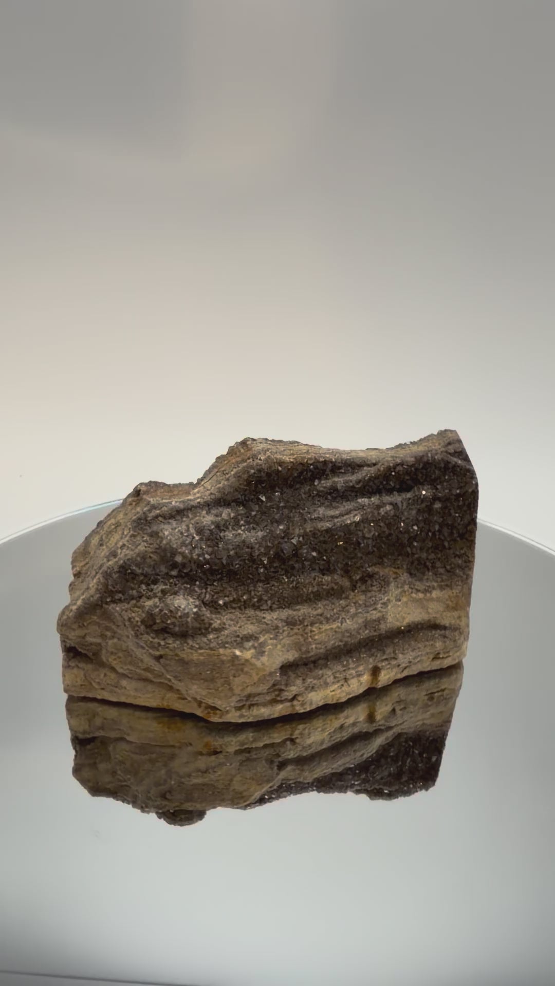 Druzy petrified wood, turning