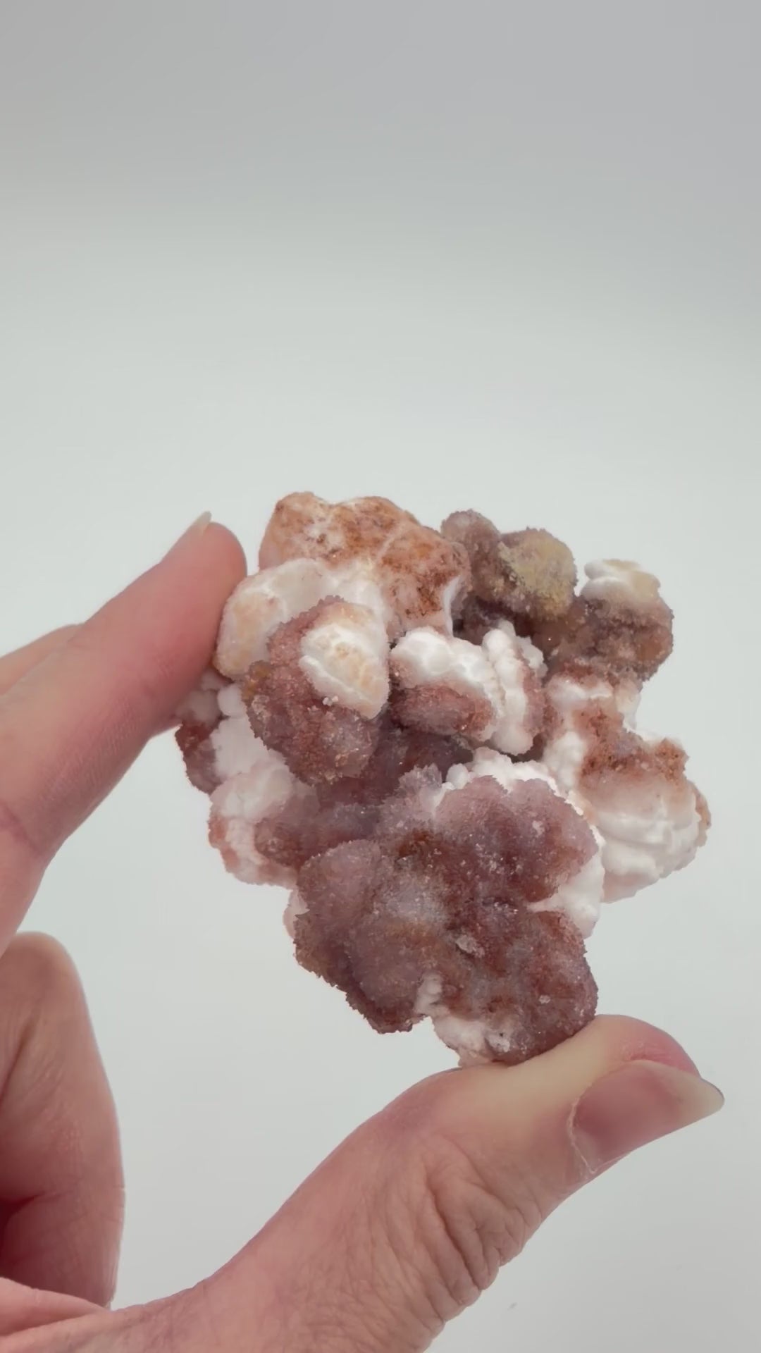 creedite.mp4