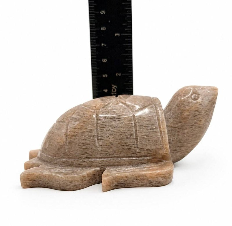Peach moonstone turtle back view