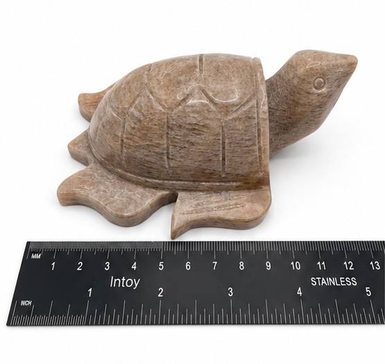 Peach moonstone turtle side view