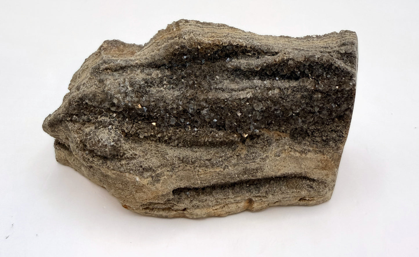 Druzy petrified wood, crystal face