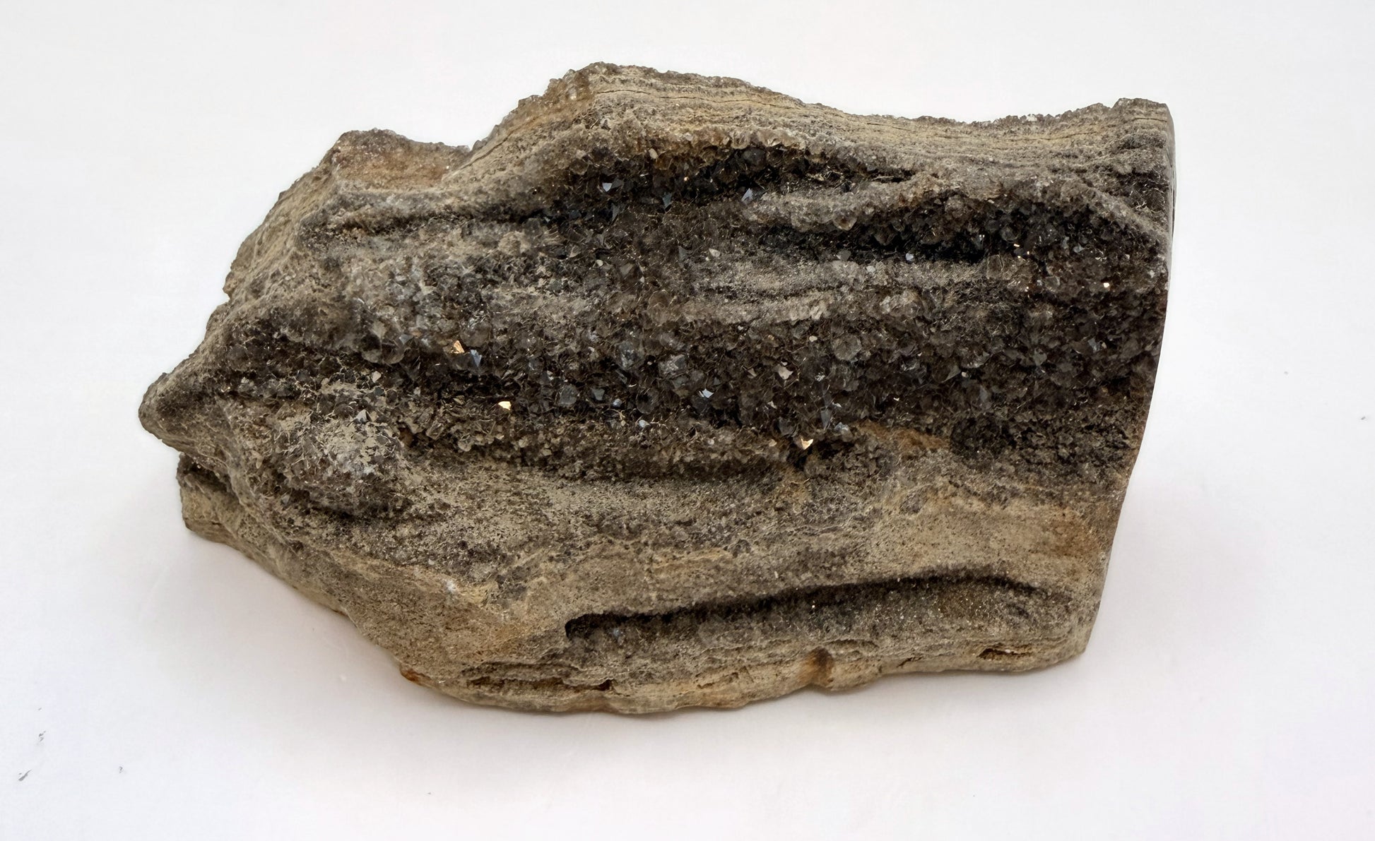 Druzy petrified wood, crystal face