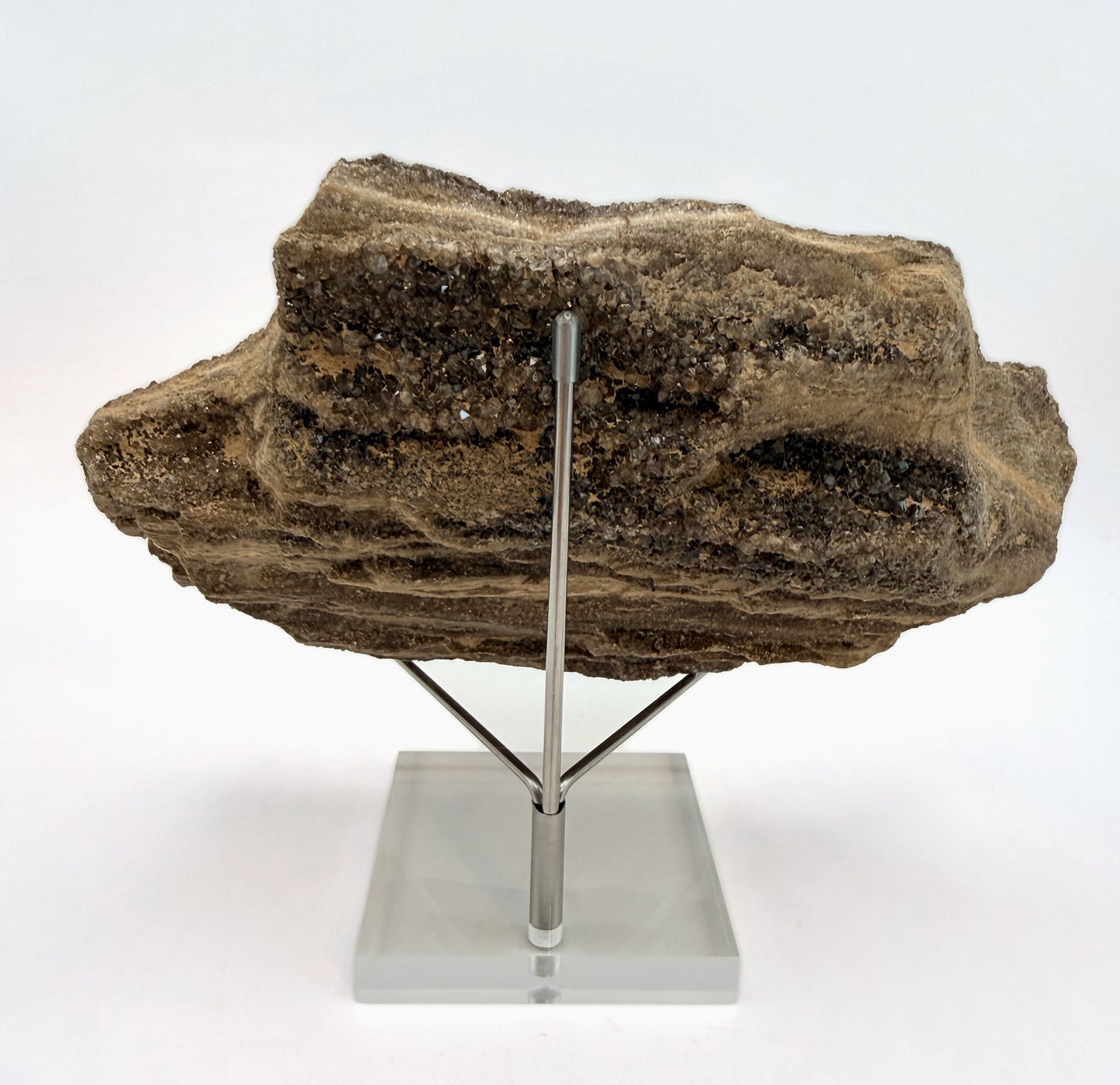 Druzy petrified wood slab on its display stand