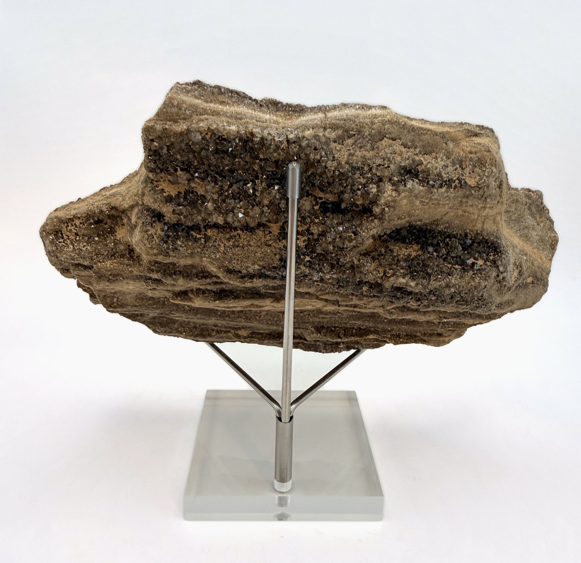 Druzy petrified wood slab on its display stand