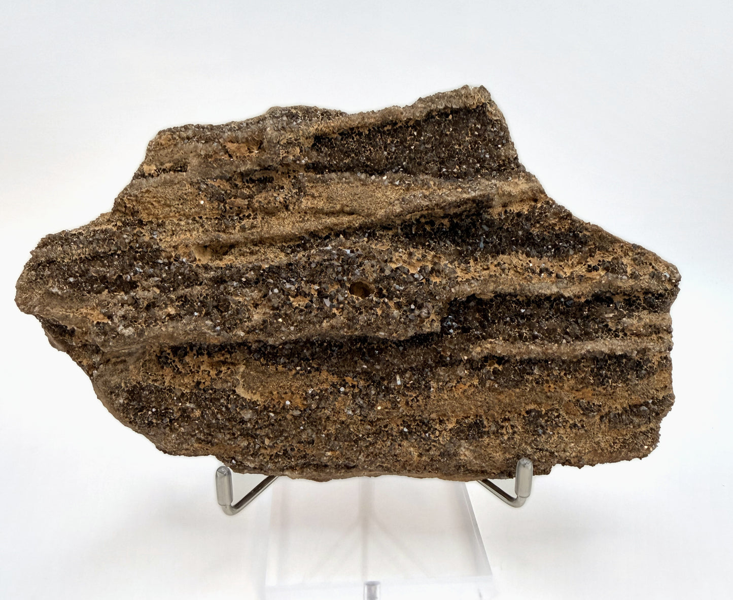Druzy petrified wood slab, front view