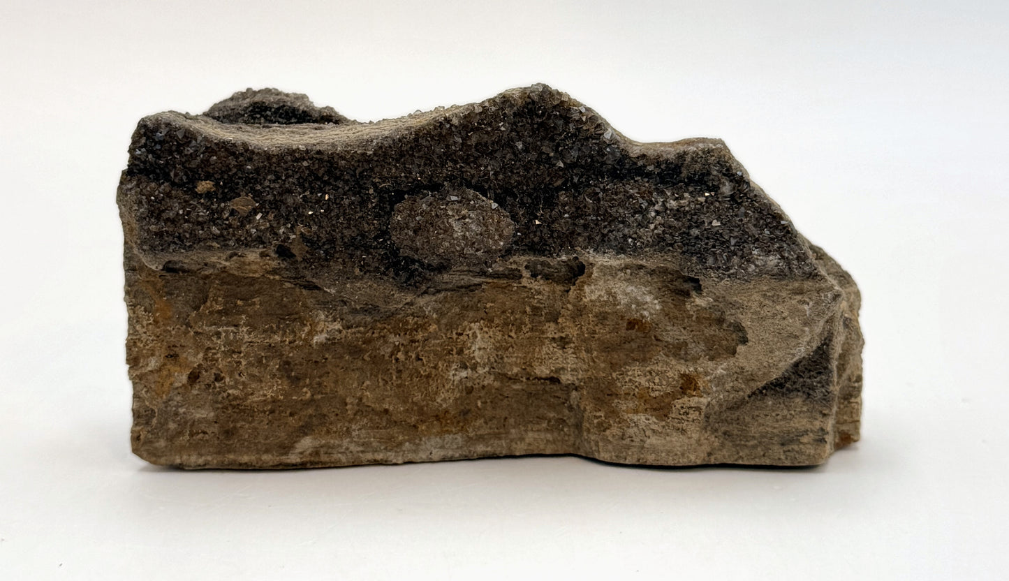 Druzy petrified wood, side profile showing the grain