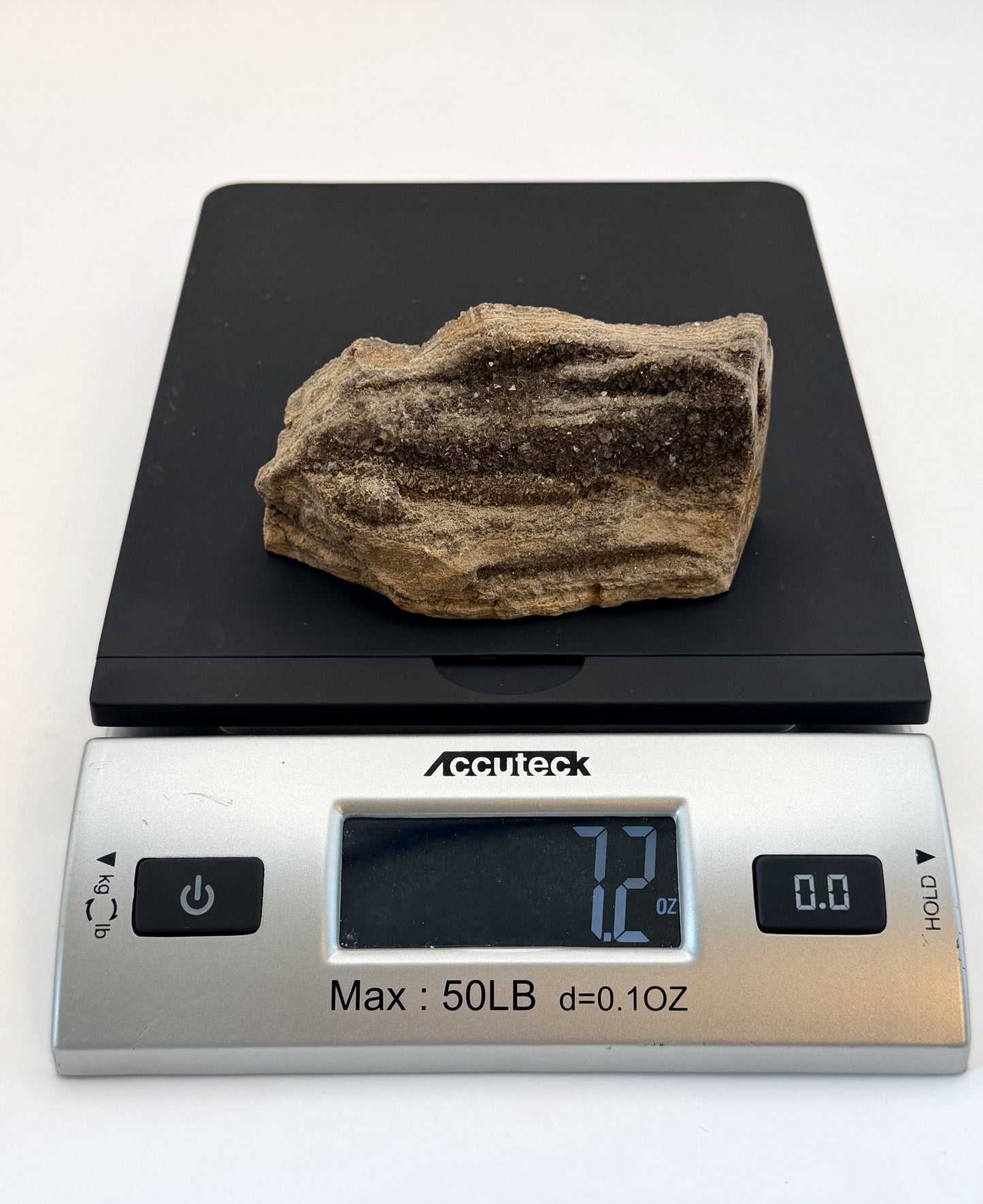 Druzy petrified wood on a scale