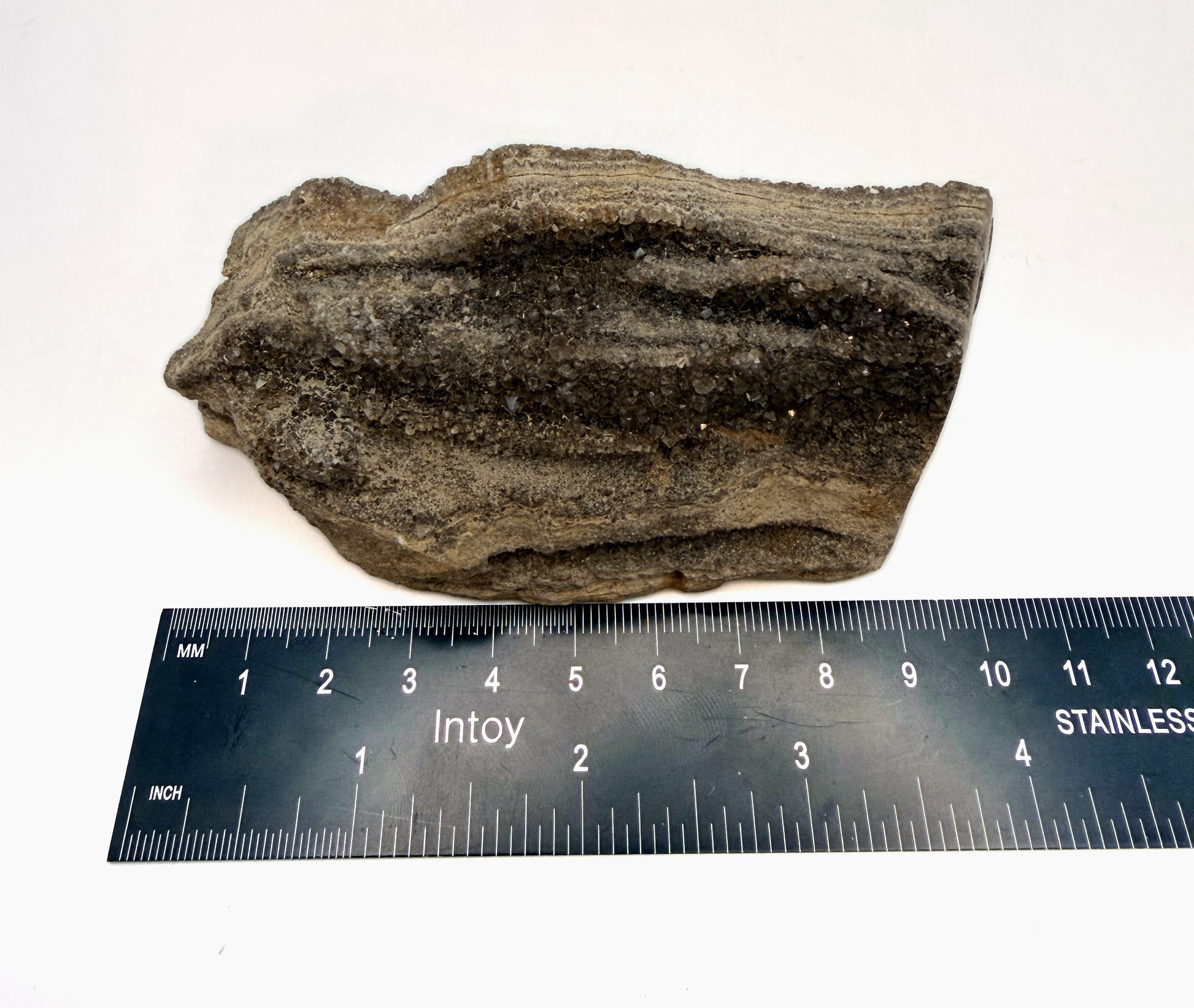 Druzy petrified wood measured for length