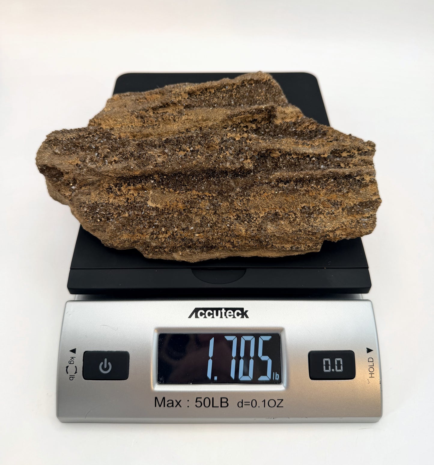 Druzy petrified wood slab on a scale