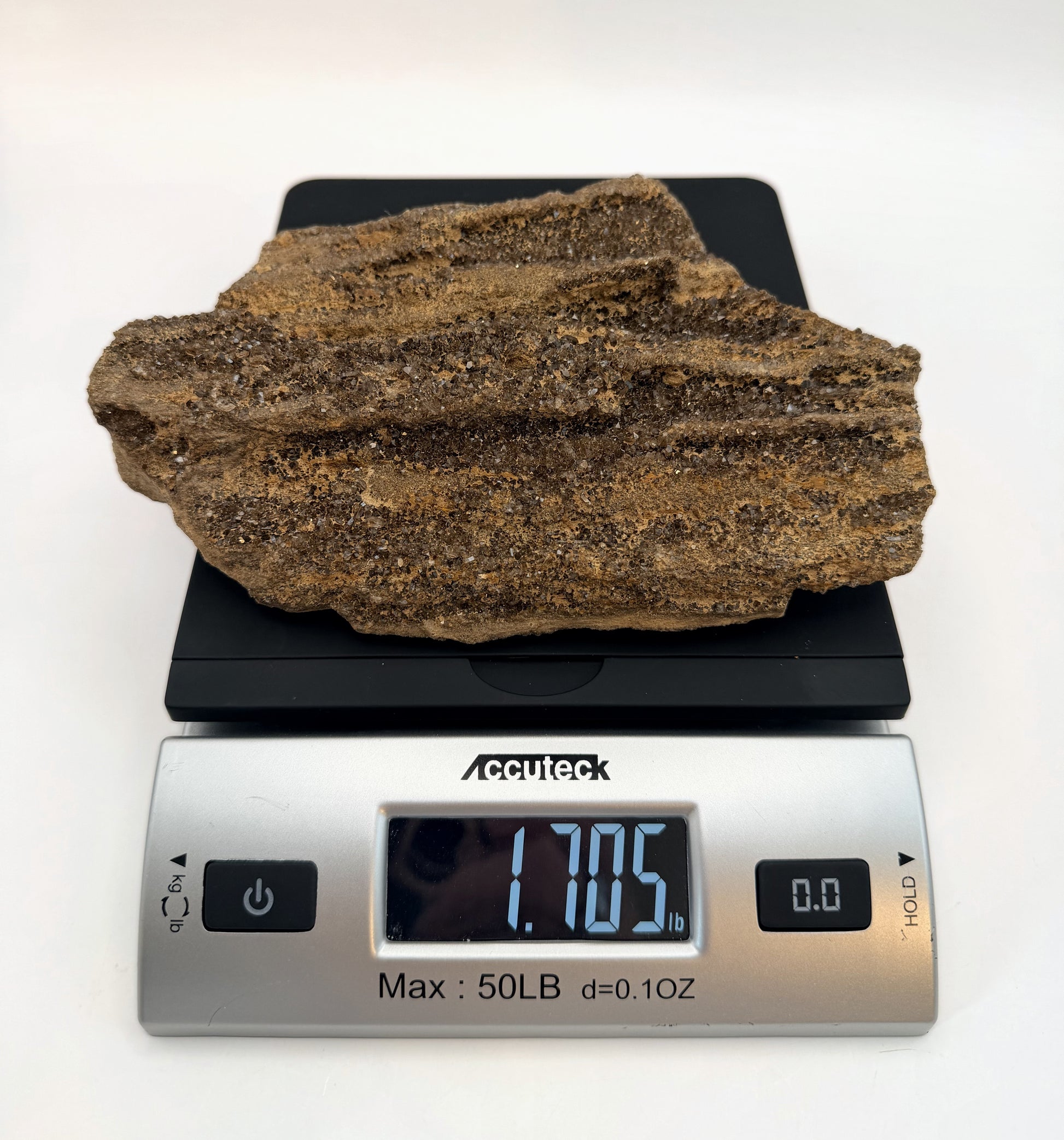 Druzy petrified wood slab on a scale