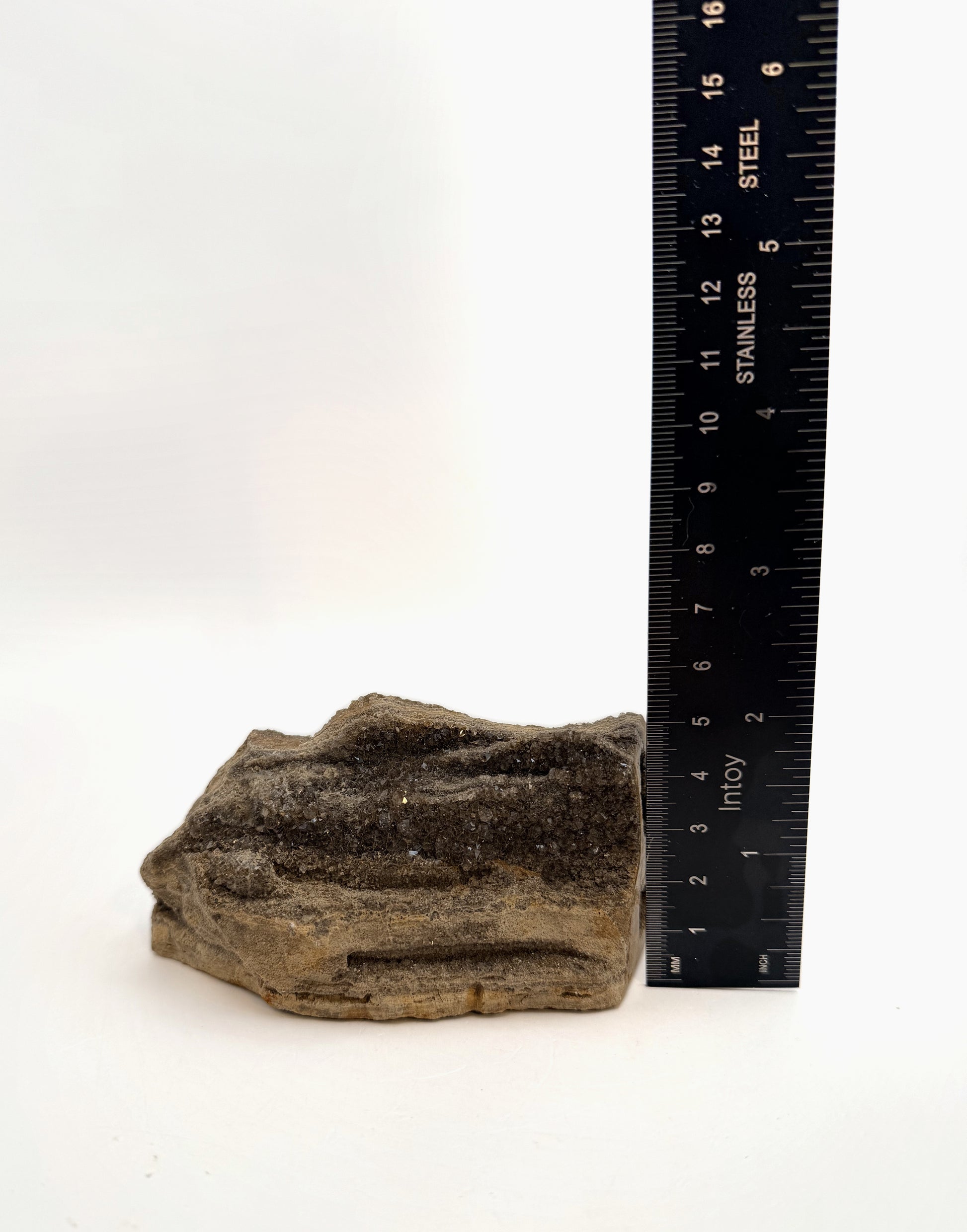 Druzy petrified wood measured for height