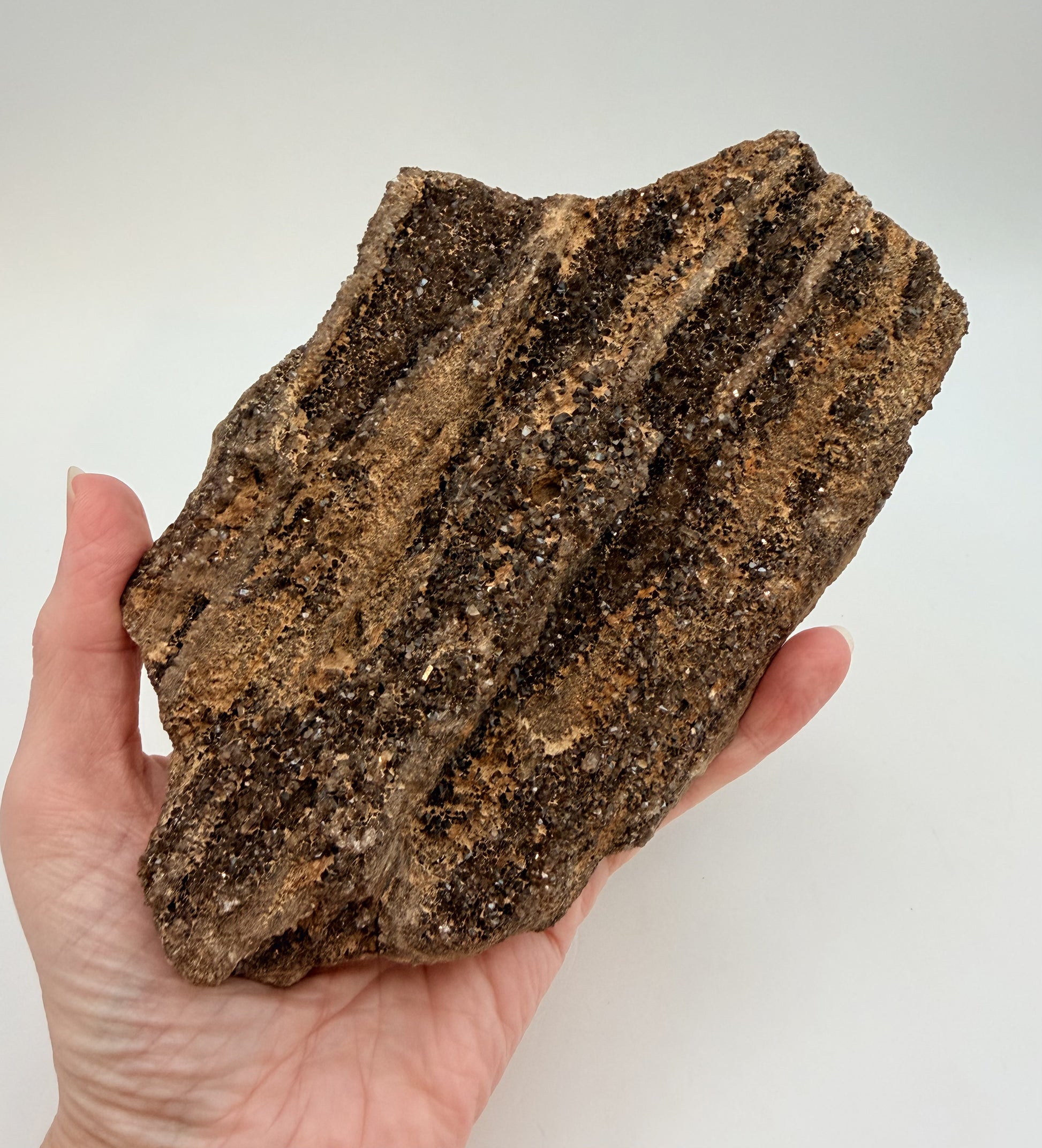 Druzy petrified wood slab held in hand, crystal face
