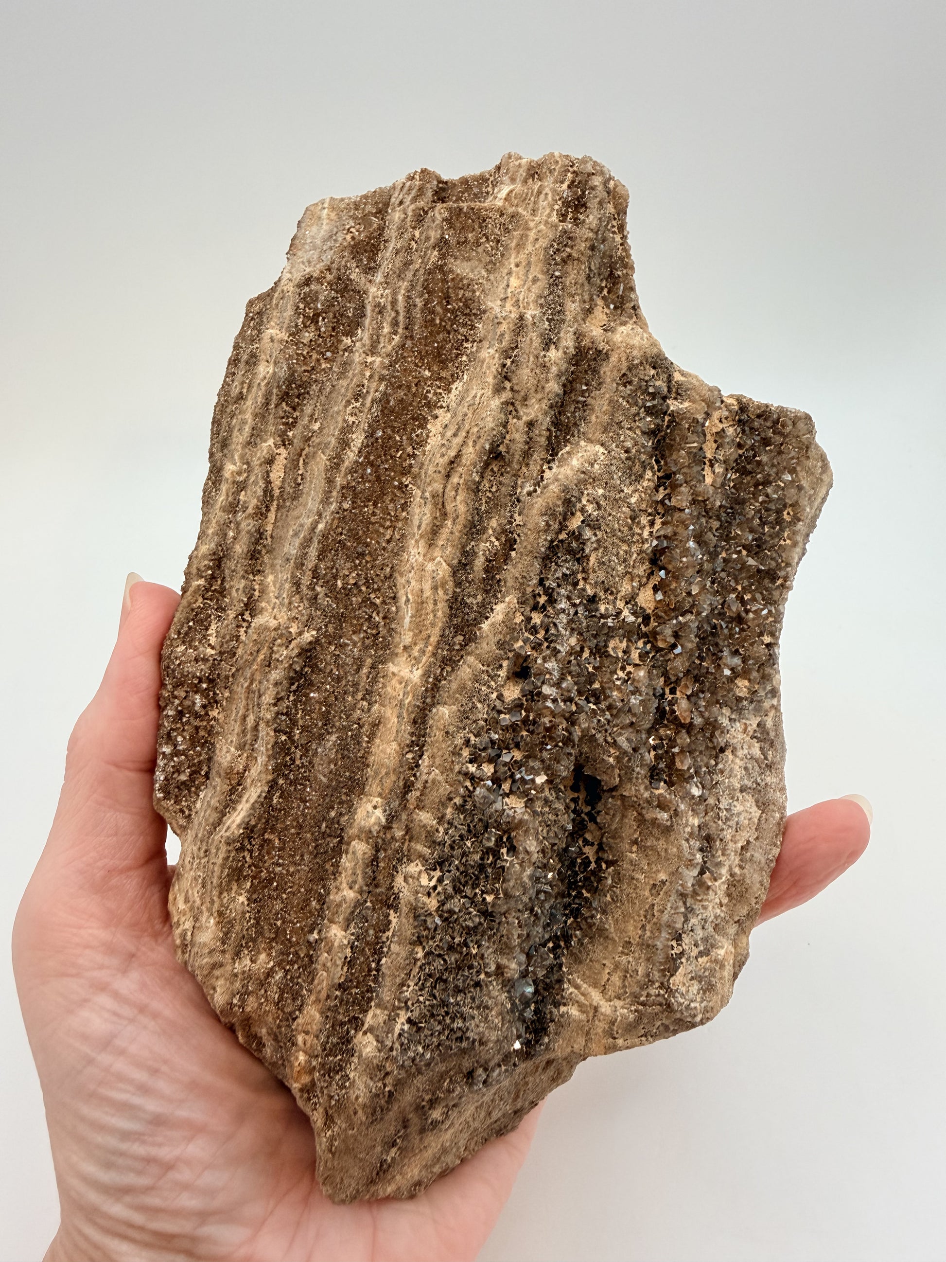 Druzy petrified wood slab held in hand, reverse